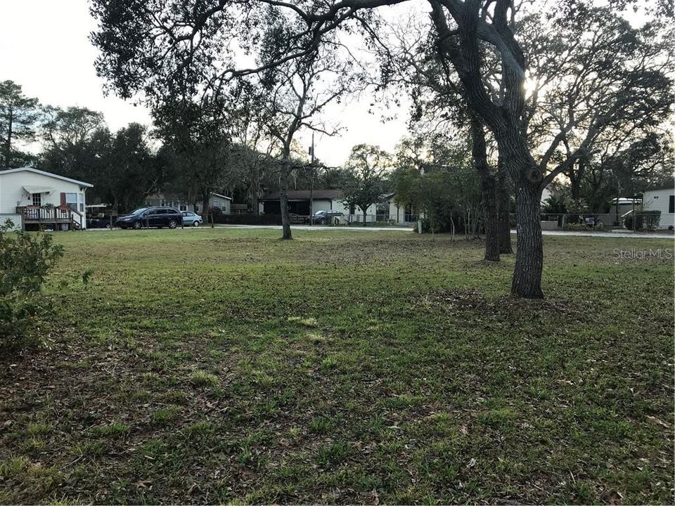 Sparse trees. Photo taking on Lot 109 looking toward the South West