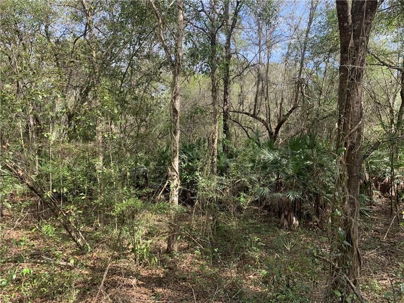Recently Sold: $69,000 (6.63 acres)