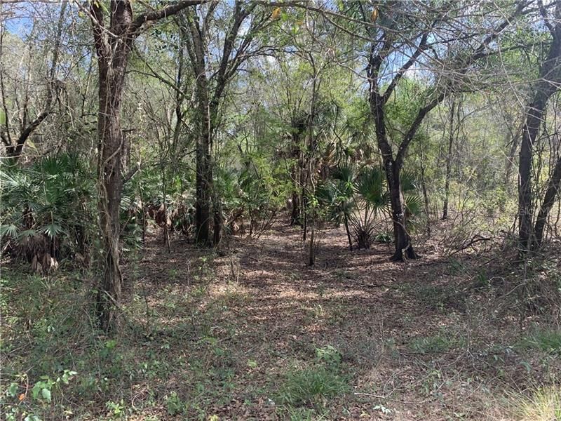 Vendido Recientemente: $69,000 (6.63 acres)