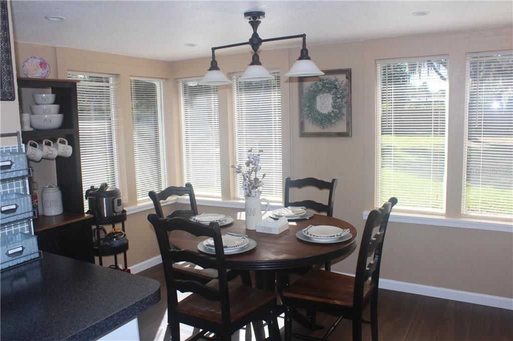 Plenty of Natural Light.  New Lighting and Flooring.  View of the Large Backyard.