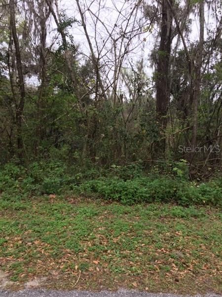Recently Sold: $6,500 (0.30 acres)