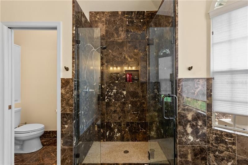 walk-in shower with new enclosure and separate toilet closet