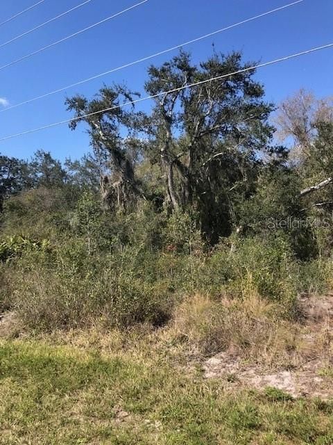Недавно продано: $85,000 (1.32 acres)