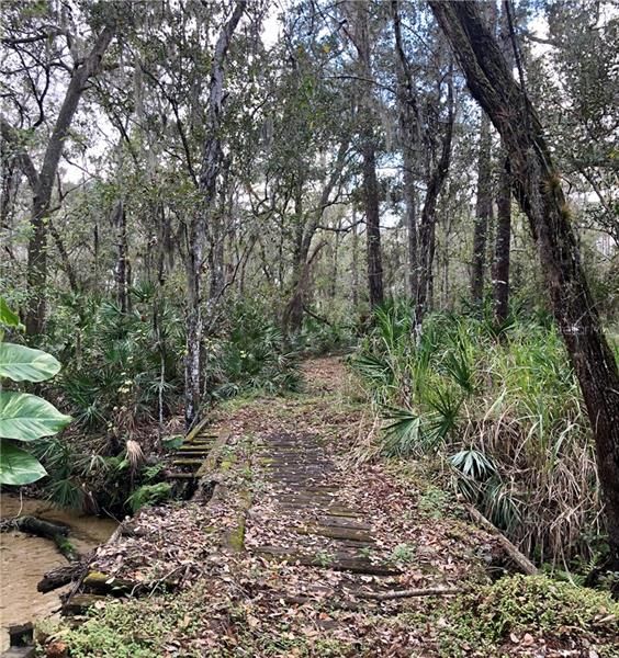 Old wooden bridge to cross over to main portion of land.