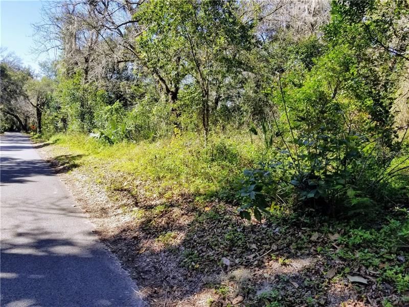 One acre parcel with beautiful Live Oaks just a short walk to De Leon Springs State Park.