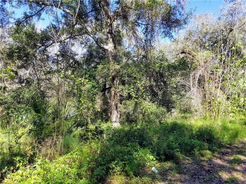 Recently Sold: $25,000 (1.00 acres)