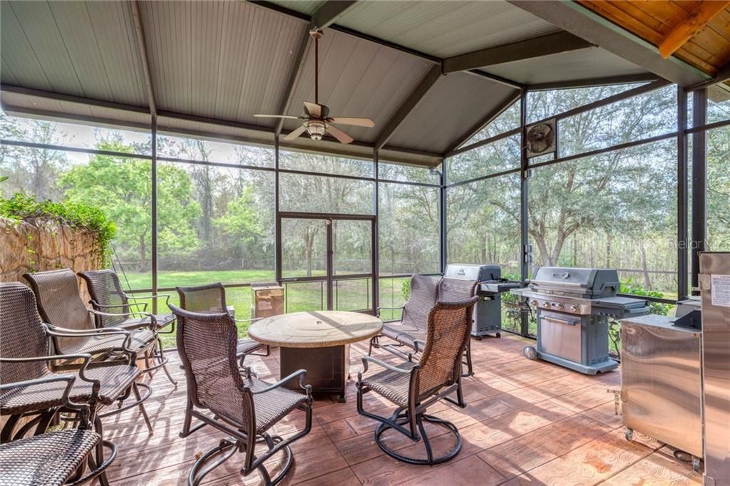 Outdoor dining and grilling area