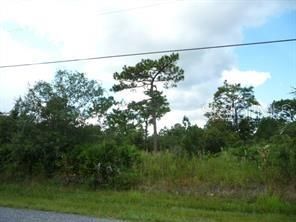 最近售出: $29,900 (0.92 acres)