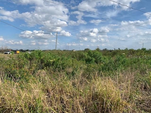 This view is facing East with Dundee Road to the left...