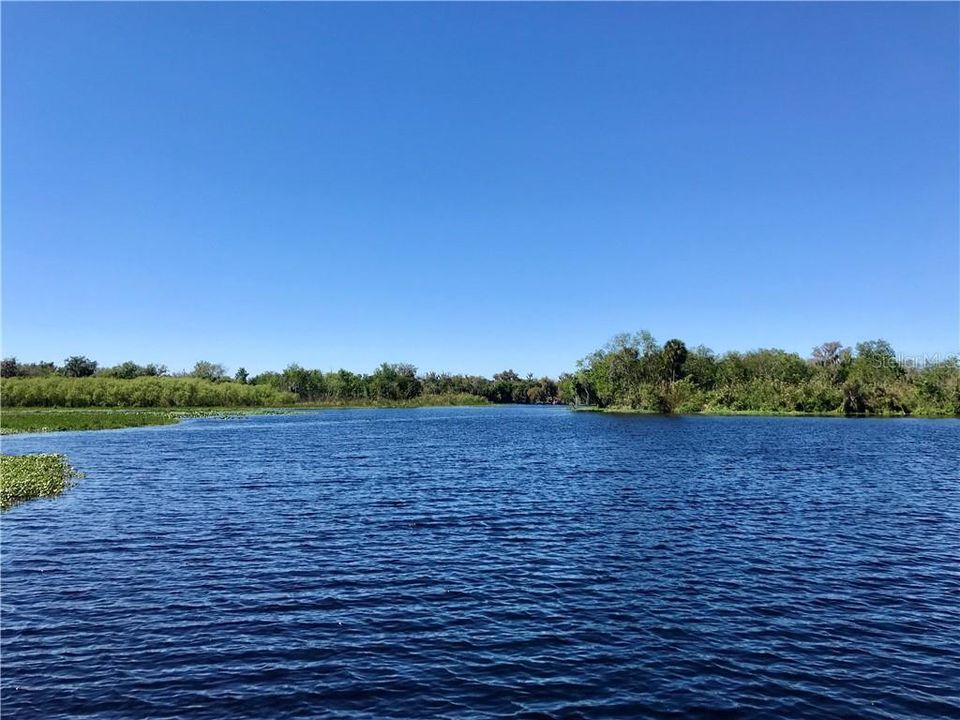 Water View of St Johns River