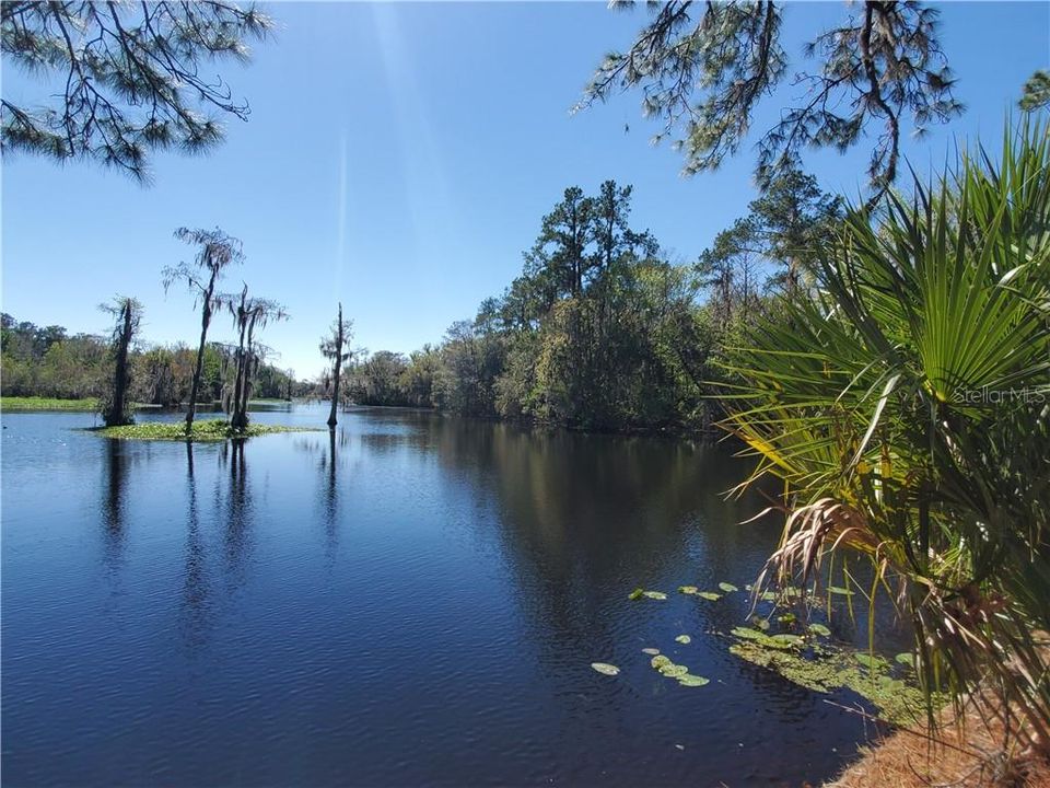 Recently Sold: $175,000 (0.59 acres)