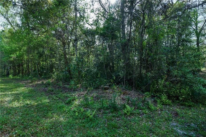 Recently Sold: $17,500 (0.46 acres)