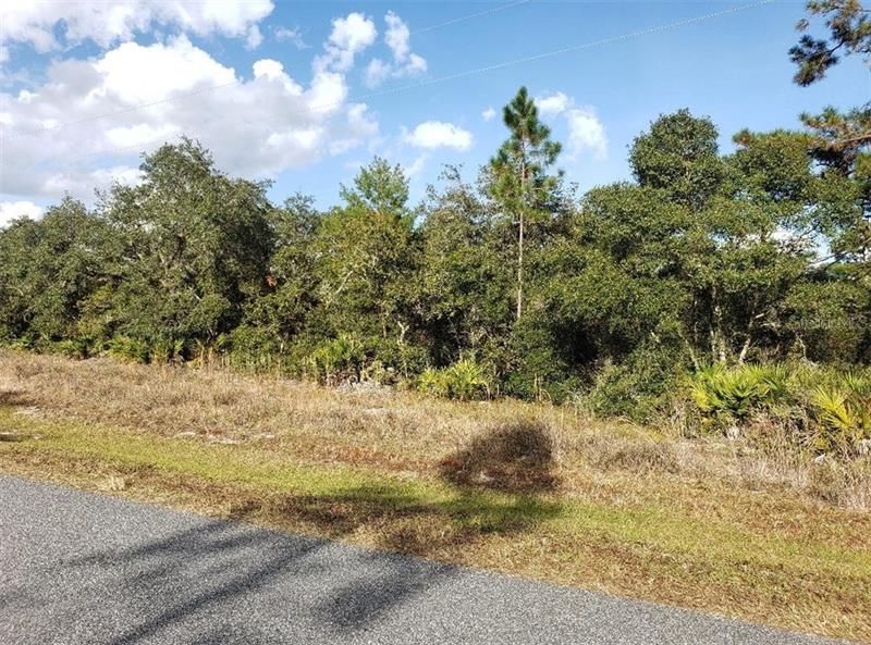 Recently Sold: $29,900 (1.05 acres)