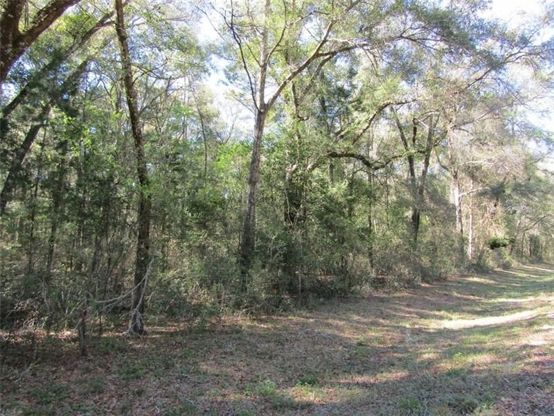 Recently Sold: $99,900 (35.27 acres)