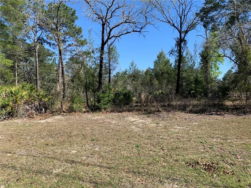 Recently Sold: $22,000 (0.93 acres)