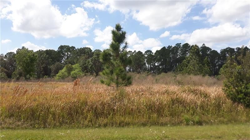 Recently Sold: $18,000 (0.18 acres)