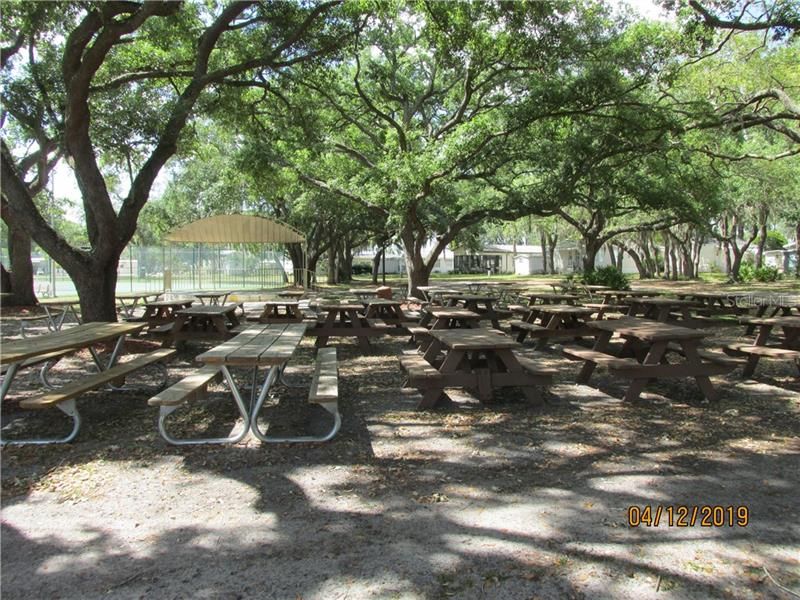 Shaded picnic area