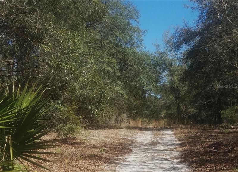 Trail leading from entrance to end of property.