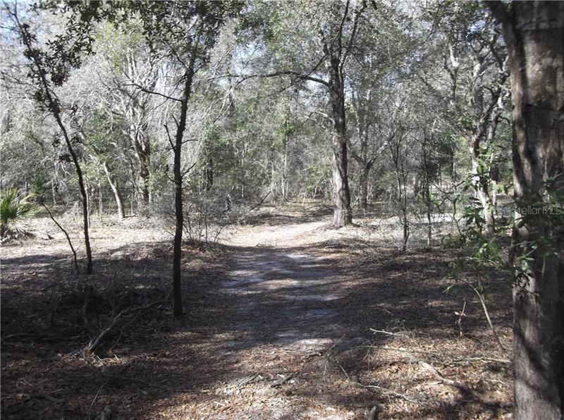 Trail leading from entrance to end of property.