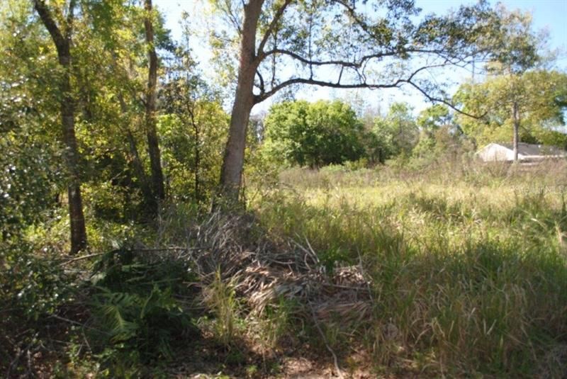 Recently Sold: $125,000 (1.25 acres)