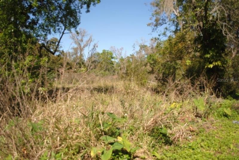 Recently Sold: $125,000 (1.25 acres)