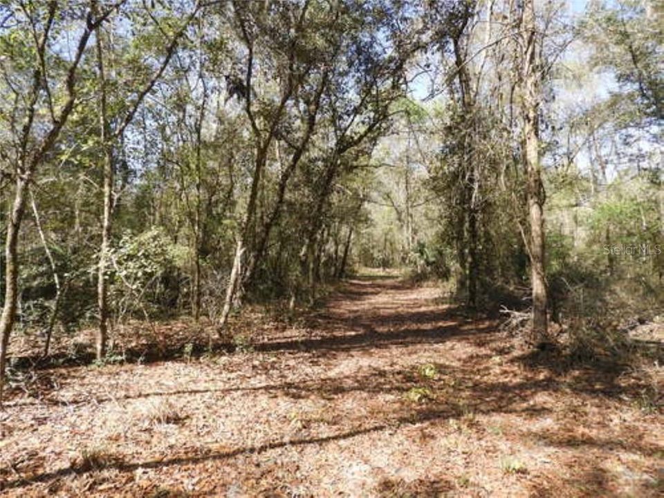 Recently Sold: $75,000 (10.00 acres)