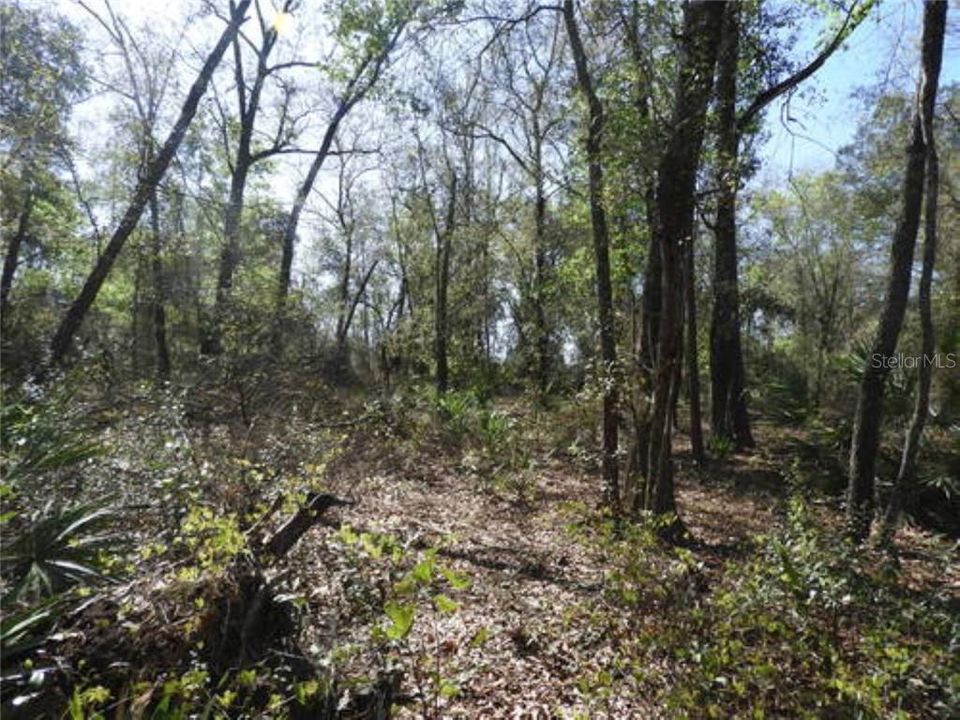 Recently Sold: $75,000 (10.00 acres)