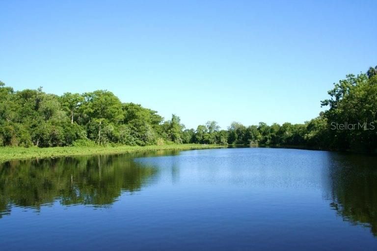 The beautiful St. Johns River