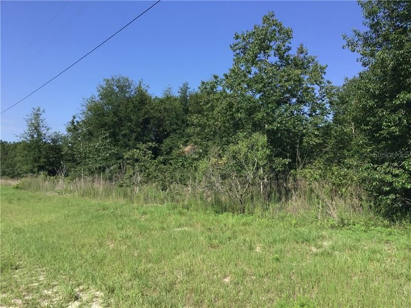 Recently Sold: $13,500 (0.23 acres)