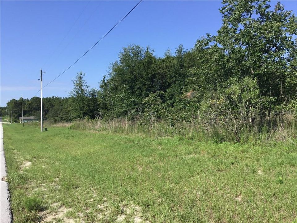 Recently Sold: $13,500 (0.23 acres)