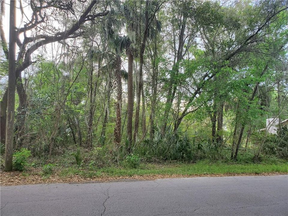 Vendido Recientemente: $7,700 (0.20 acres)