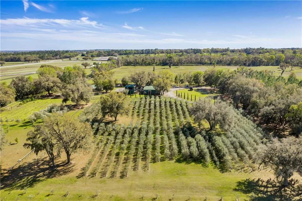 Aerial View of Property