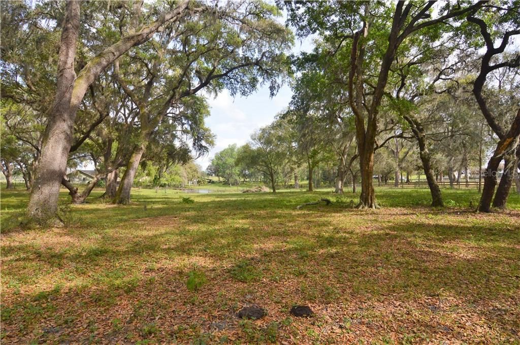 Vendido Recientemente: $145,000 (6.08 acres)