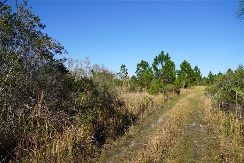 Vendido Recientemente: $89,000 (11.20 acres)