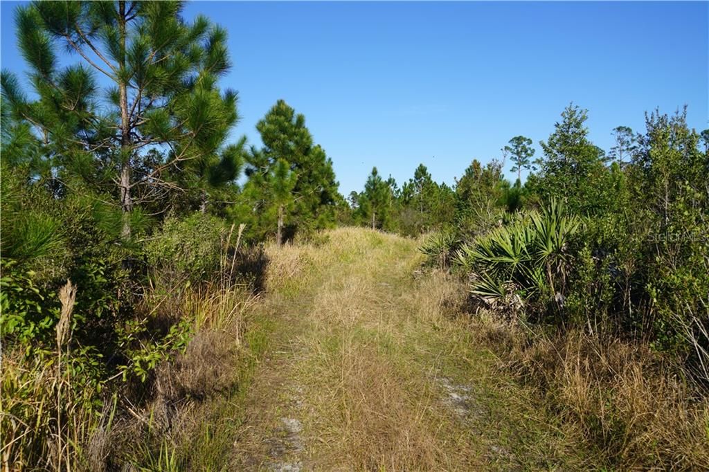 Vendido Recientemente: $89,000 (11.20 acres)