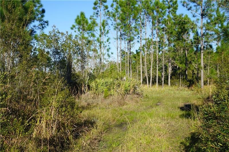 Vendido Recientemente: $89,000 (11.20 acres)