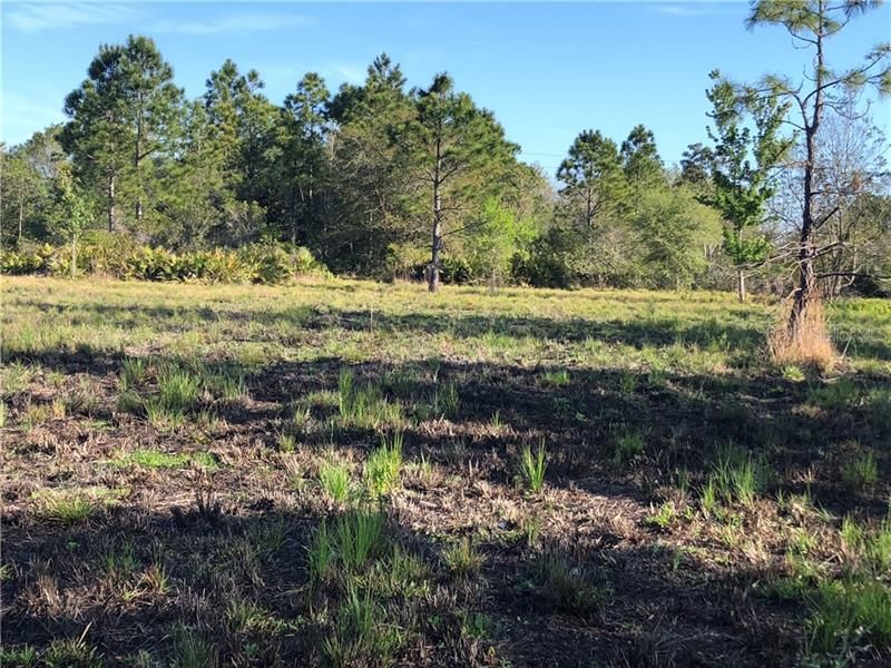 Recently Sold: $72,000 (5.00 acres)