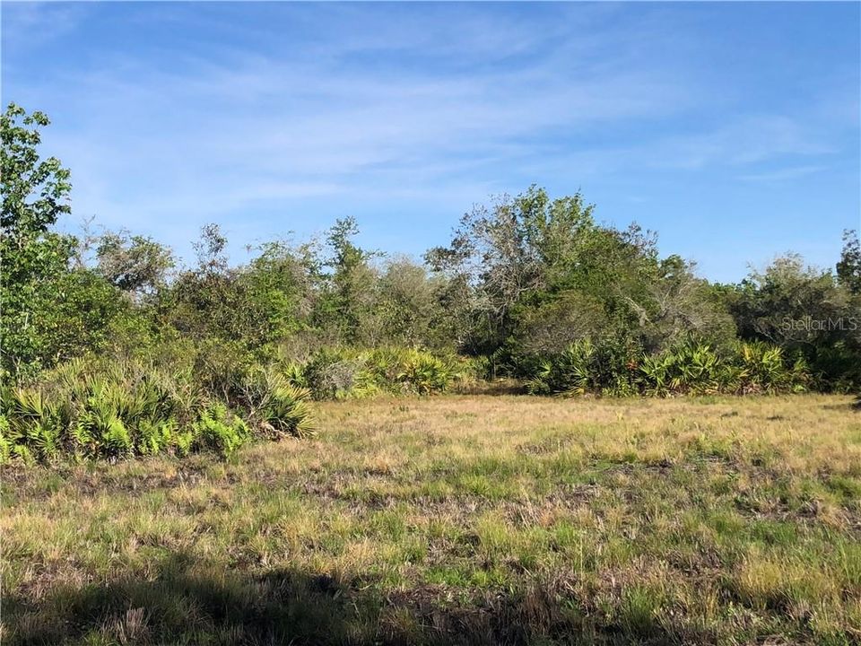 Recently Sold: $72,000 (5.00 acres)