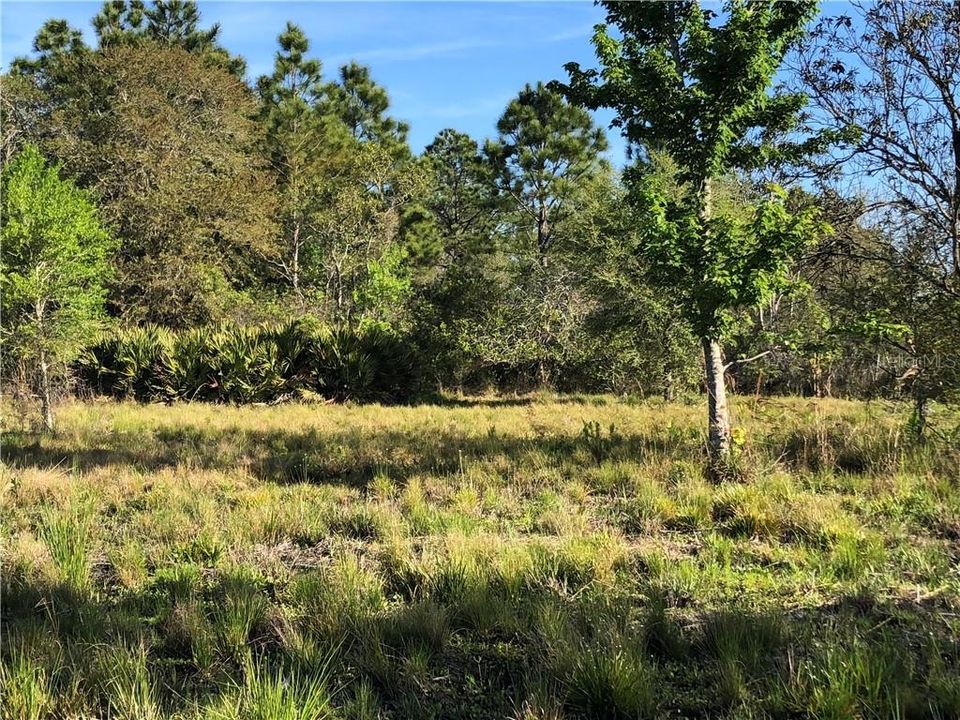 Recently Sold: $72,000 (5.00 acres)