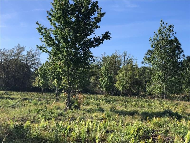 Recently Sold: $72,000 (5.00 acres)