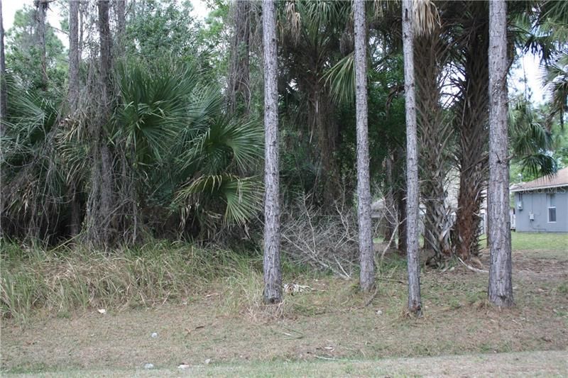 Recently Sold: $12,500 (0.23 acres)