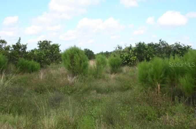 Недавно продано: $70,000 (20.00 acres)