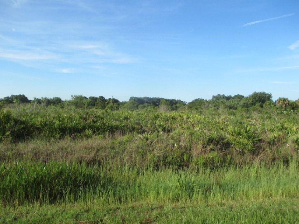 Recently Sold: $6,500 (1.25 acres)