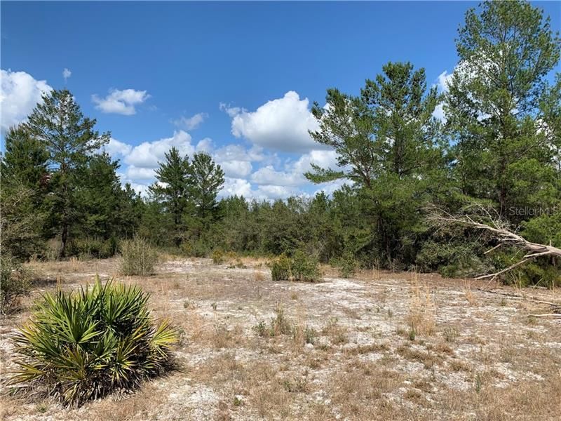 Recently Sold: $40,000 (6.96 acres)