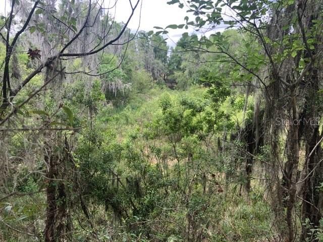 Recently Sold: $59,950 (12.83 acres)