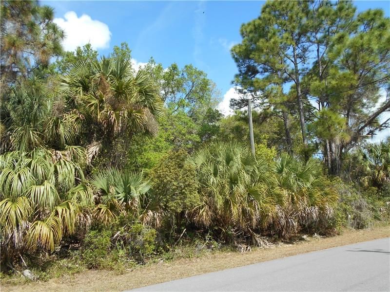 Recently Sold: $5,900 (0.23 acres)