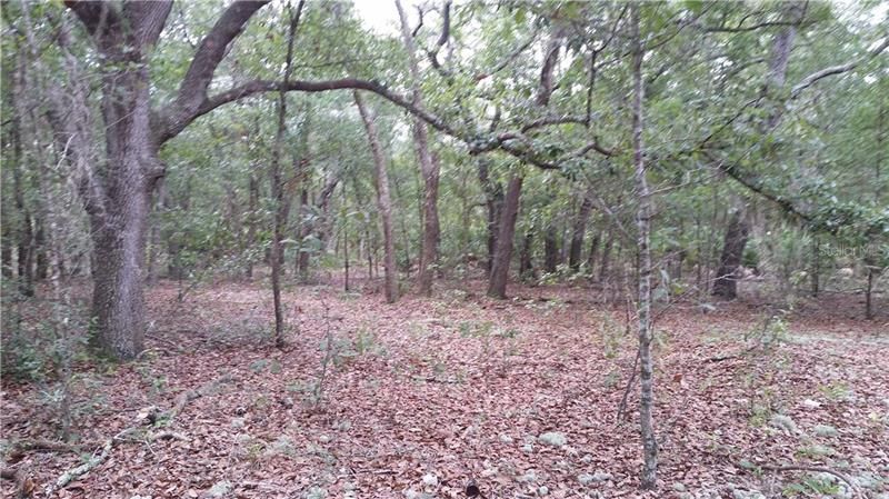 Recently Sold: $16,000 (1.92 acres)