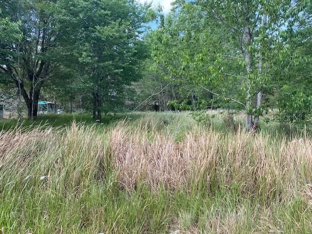 Vendido Recientemente: $9,500 (0.22 acres)