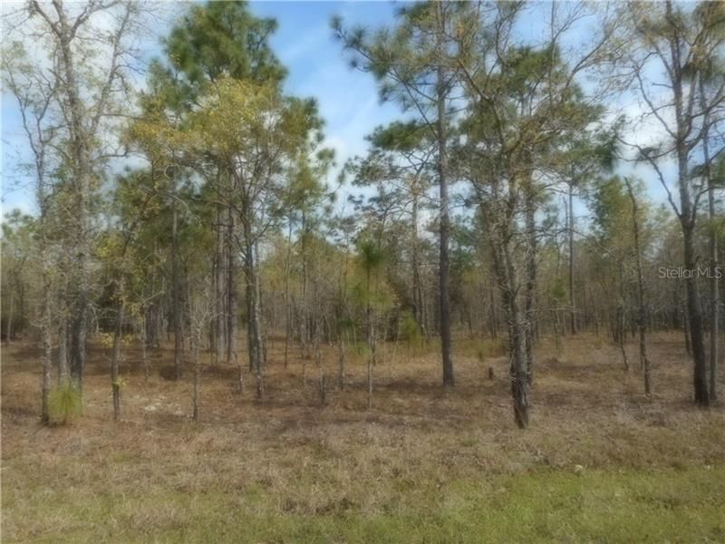 Recently Sold: $29,900 (4.76 acres)
