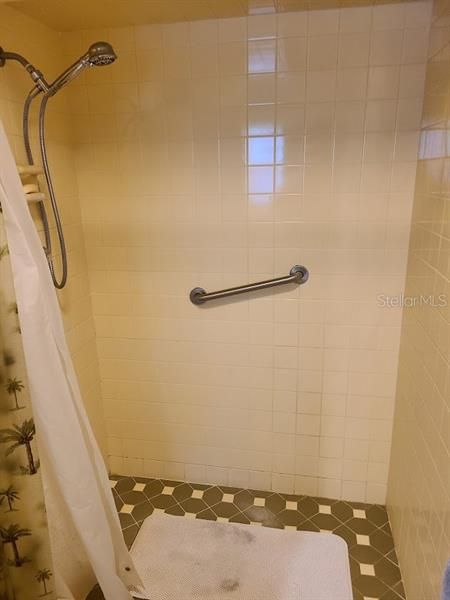 Step in shower